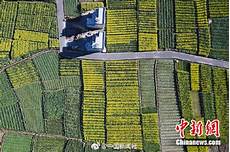 6205345905_d59a564256-160x160